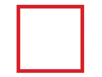 C5N en VIVO C5N